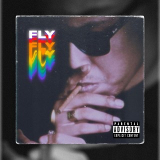 Fly