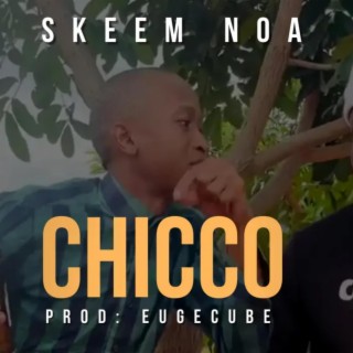 Chicco Skeem Noa