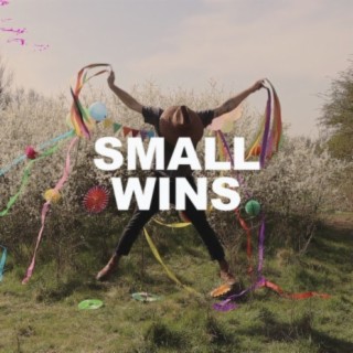 Small Wins