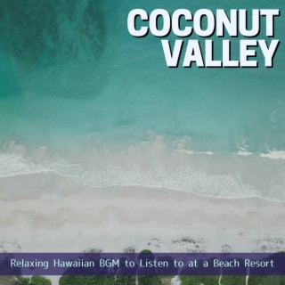 Relaxing Hawaiian BGM to Listen to at a Beach Resort
