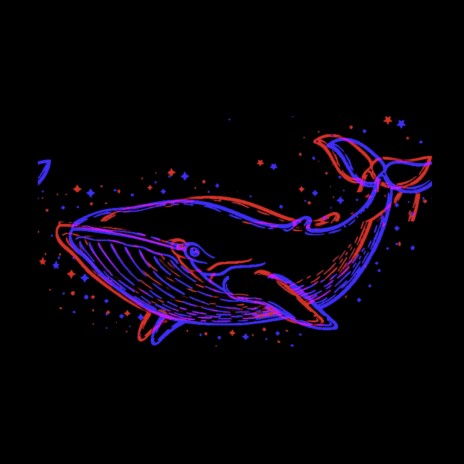 Whales | Boomplay Music