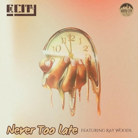 Never To Late ft. Ray Woods | Boomplay Music