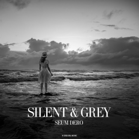 Silent & Grey (Original Mix) | Boomplay Music