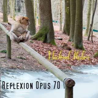 Reflexion Opus 70