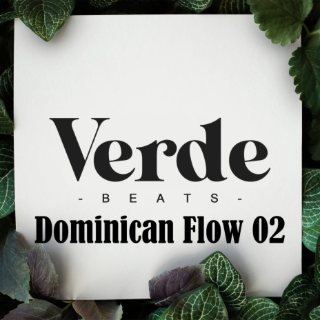 Dominican Flow 02 | Boomplay Music
