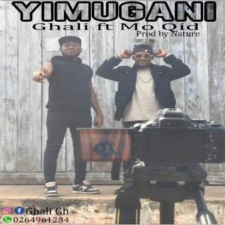 Yimugani (feat. Mo Qid)