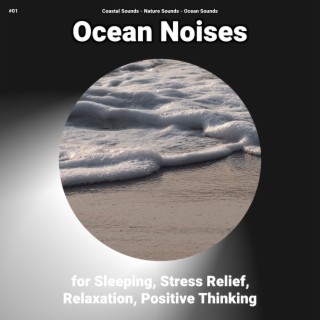 #01 Ocean Noises for Sleeping, Stress Relief, Relaxation, Positive Thinking