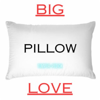 Pillow