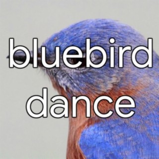 bluebird dance