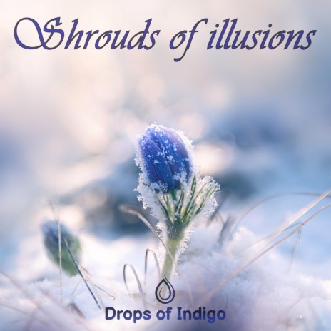 Shrouds of illusions