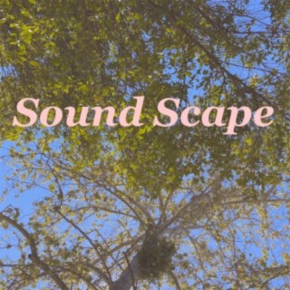 Sound Scape