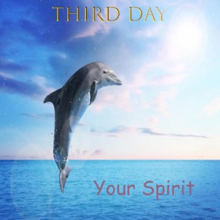 Your Spirit