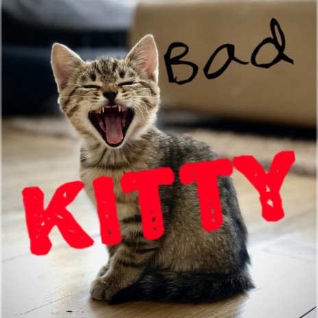 Bad kitty