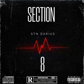 Section 8