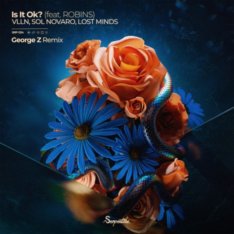 Is It Ok? (George Z Remix) ft. Sol Novaro, Lost Minds, ROBINS & George Z