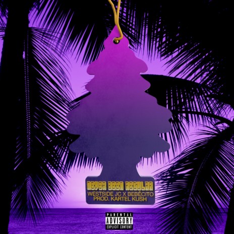 Never Been Regular ft. Bebècito | Boomplay Music