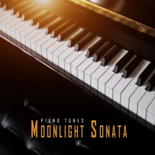 Moonlight Sonata (1st Movement) (German Grand Piano)