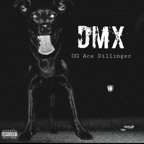 DMX (Tribute) | Boomplay Music