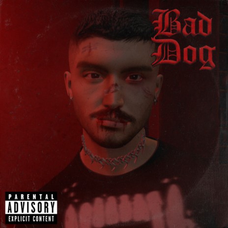 Bad Dog | Boomplay Music