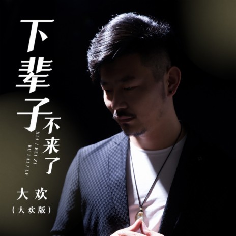 下辈子不来了 (大欢版) | Boomplay Music