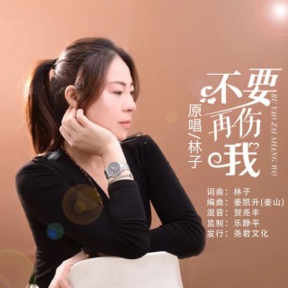 不要再伤我 lyrics | Boomplay Music