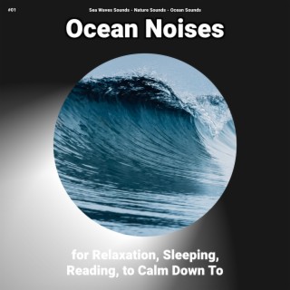#01 Ocean Noises for Relaxation, Sleeping, Reading, to Calm Down To