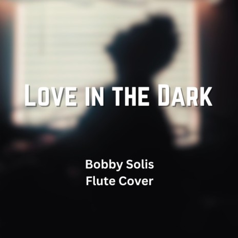 Love in the Dark (Flute Cover) | Boomplay Music
