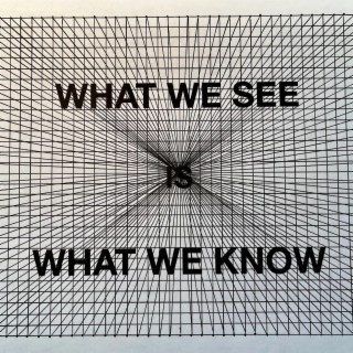 WHAT WE SEE IS WHAT WE KNOW