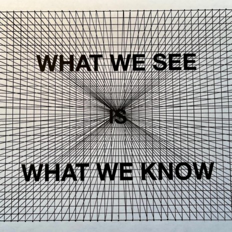 WHAT WE SEE IS WHAT WE KNOW | Boomplay Music