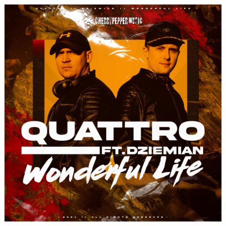 Wonderful Life ft. Dziemian | Boomplay Music