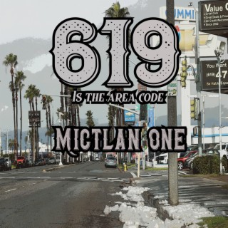 619 is the area code