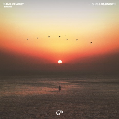 Shoulda Known ft. TAYAR | Boomplay Music