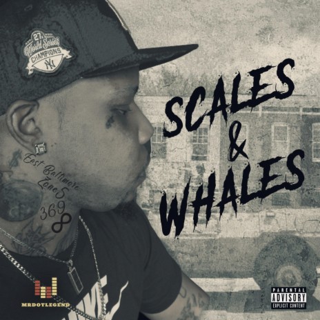 Scales Heavy | Boomplay Music