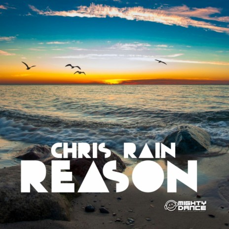 Reason (Radio Mix) | Boomplay Music