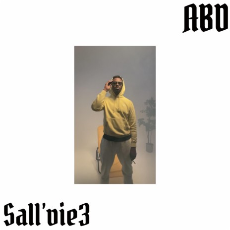 Sall’vie 3 | Boomplay Music