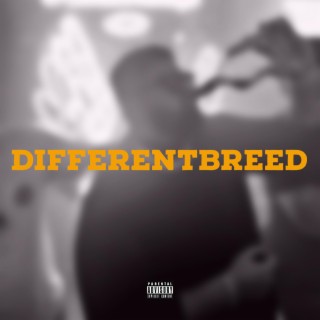 DifferentBreed lyrics | Boomplay Music