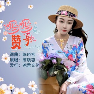 妈妈赞歌（DJ） lyrics | Boomplay Music