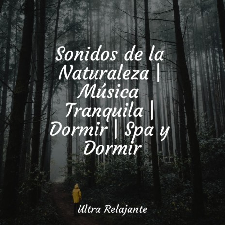 Paz Y Tranquilidad | Boomplay Music