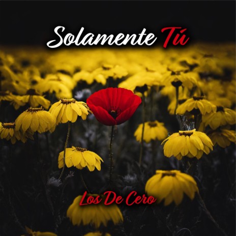 Solamente Tu | Boomplay Music