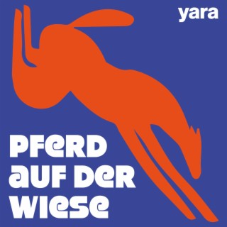 Pferd auf der Wiese