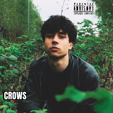 CROWS | Boomplay Music