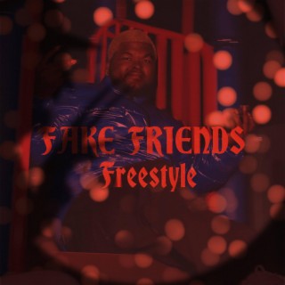 Fake Friends (Freestyle)