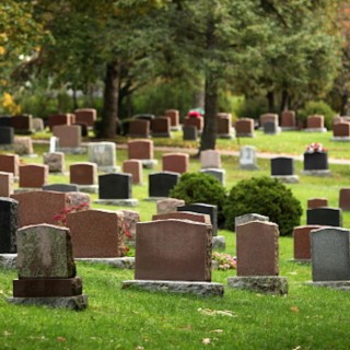 Whistle Through The Cemetary