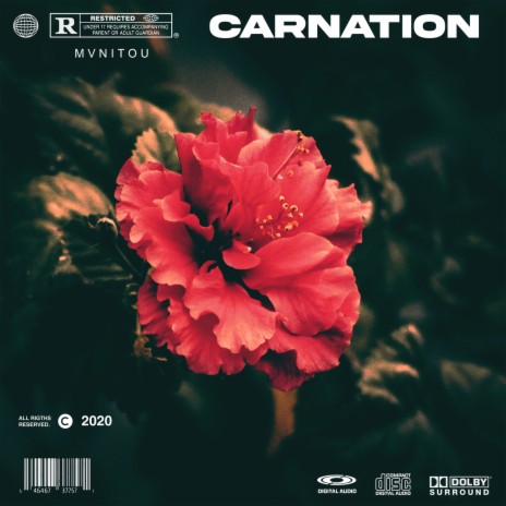 Carnation | Boomplay Music