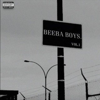 Beeba Boys, Vol. 1