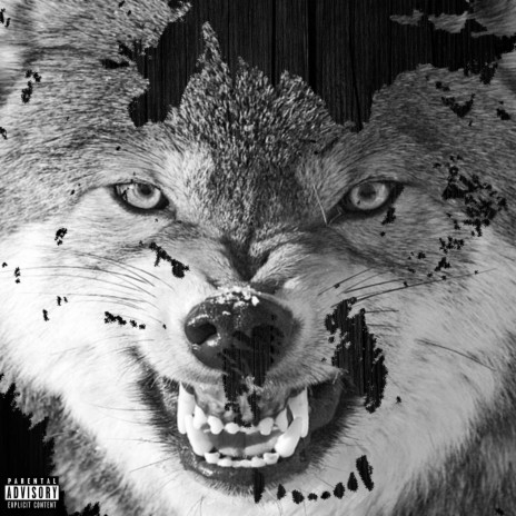 Big Bad Wolf | Boomplay Music