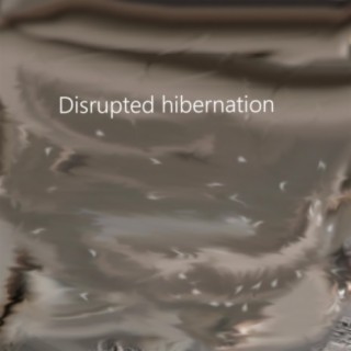 Disrupted Hibernation