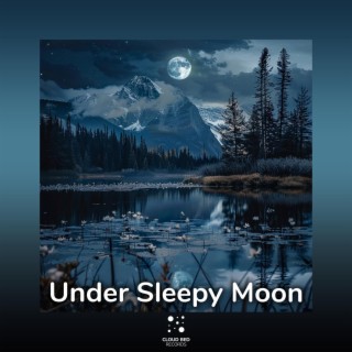 Under Sleepy Moon