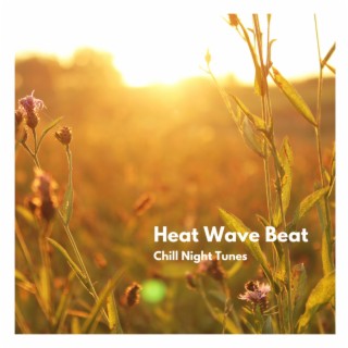 Heat Wave (Radio Edit) | Boomplay Music