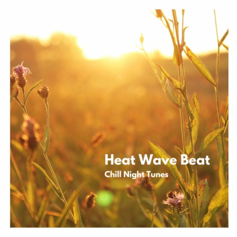 Heat Wave (Radio Edit) ft. Alofi & Lofi Love Chill | Boomplay Music